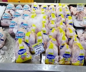 2022年10月30日菲律宾肉蛋奶价格